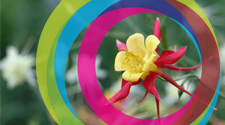 Is it discrimination if an employer only found out about a disability after dismissal?